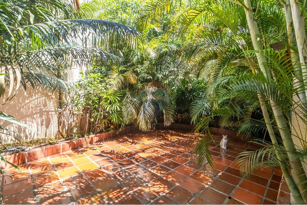 Casa - Venda - São Paulo , São Paulo - IMG_770303.jpg - 602181029-83