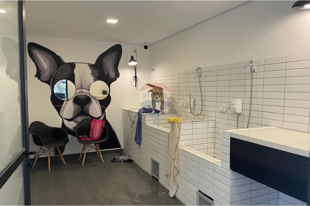 Apartamento - Alugar - São Paulo , São Paulo - WhatsApp Image 2025-10-16 at 14.23.54 (2).jpeg - 601971053-42