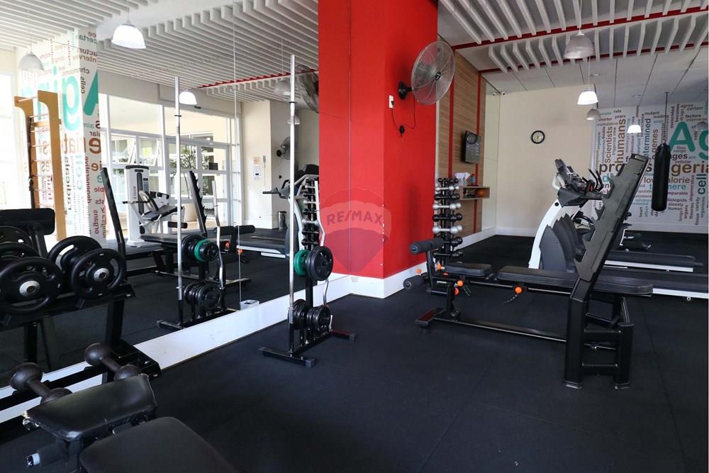 Apartamento - Venda - São Paulo , São Paulo - RUA MANUEL GAYA, 945 - 5 (43).jpg - 601051032-153