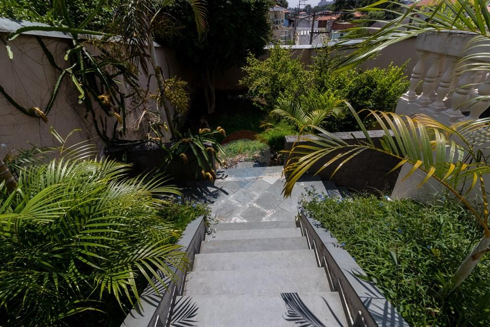 Sobrado - Venda - São Paulo , São Paulo - IMG_7100.jpg - 602201038-6