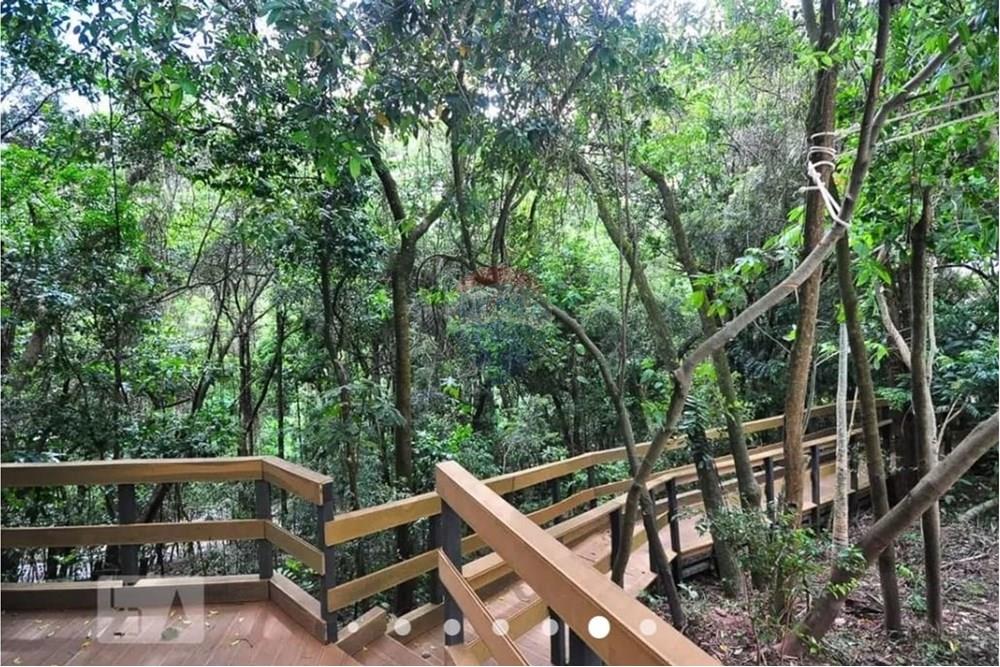 Apartamento - Alugar - São Paulo , São Paulo - WhatsApp Image 2025-08-16 at 13.42.21 (1).jpeg - 602361002-41