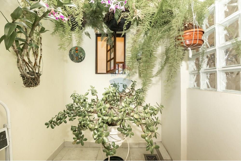 Casa - Venda - São Paulo , São Paulo - IMG_488622.jpg - 602191017-114