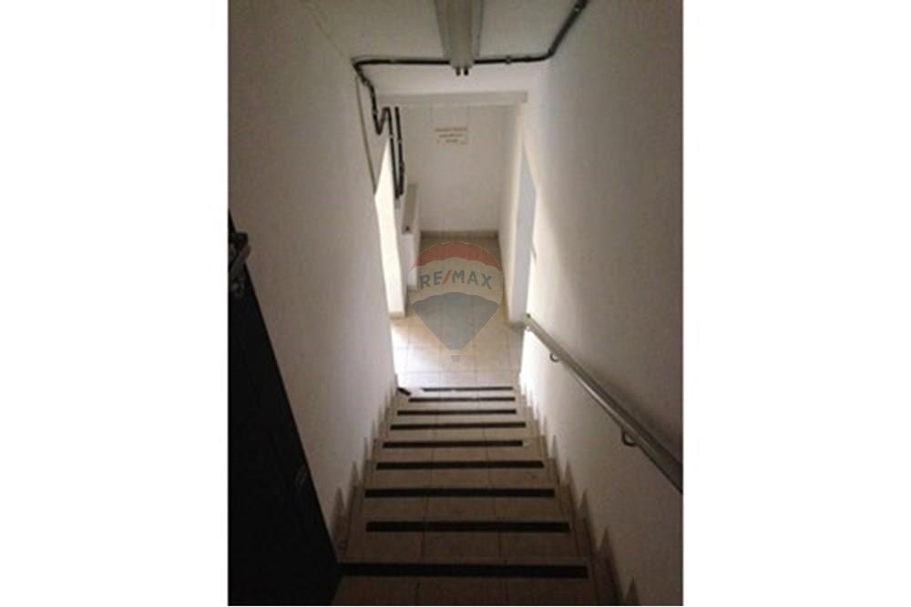 Galpão - Alugar - São Paulo , São Paulo - L_50faedba-1856-4a97-976b-ddd7af2c5533.jpg - 601051085-14