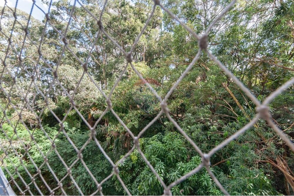 Residential - Stanovanje - Sao Paulo , Sao Paulo - BR - DSC_5525.jpeg - 601191032-47