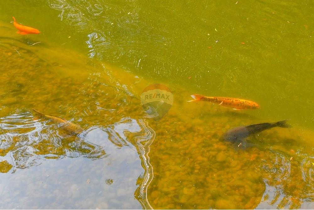 Apartamento - Venda - São Paulo , São Paulo - 1739388810267-foto_24.jpeg - 601251016-103