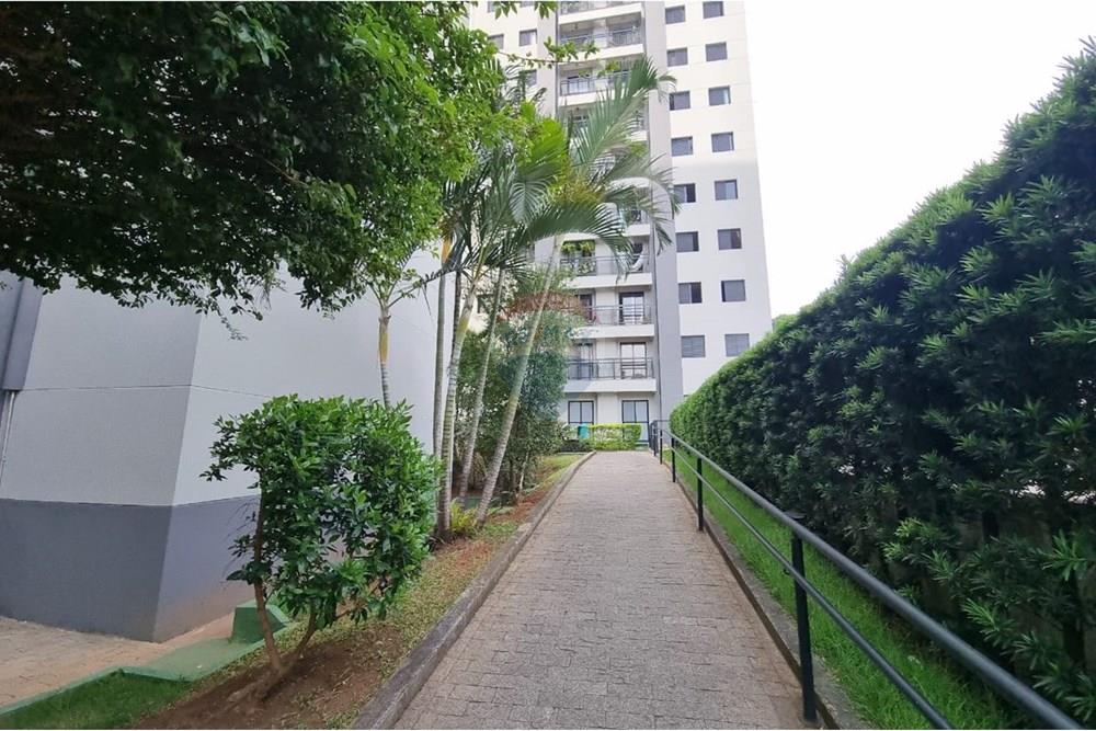 Apartamento - Alugar - São Paulo , São Paulo - Imagem do WhatsApp de 2025-12-01 à(s) 19.00.41_ad7440a7.jpg - 601751011-939