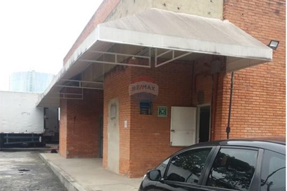 Galpão - Alugar - São Paulo , São Paulo - 1.jpeg - 602291021-242