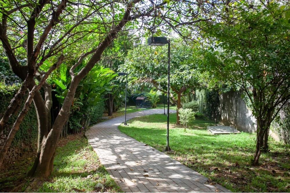 Apartamento - Alugar - São Paulo , São Paulo - Bosque.jpg - 601751111-8