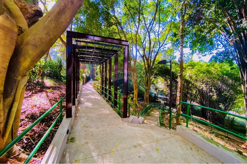 Cobertura - Venda - São Paulo , São Paulo - IMG_9269.jpg - 602361011-52