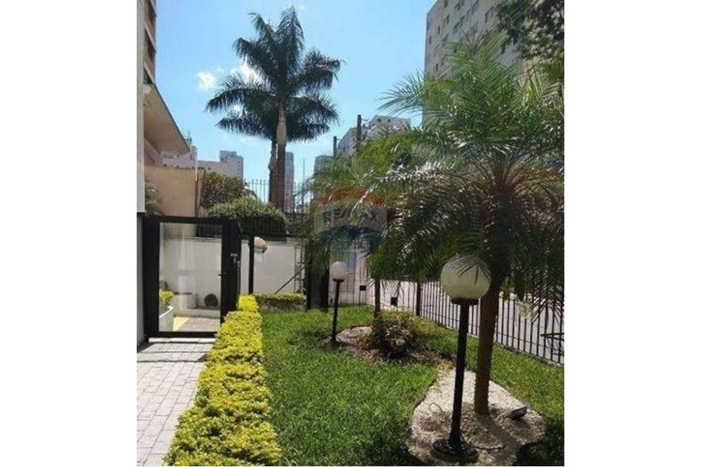 Apartamento - Alugar - São Paulo , São Paulo - 8.JPG - 602321013-95