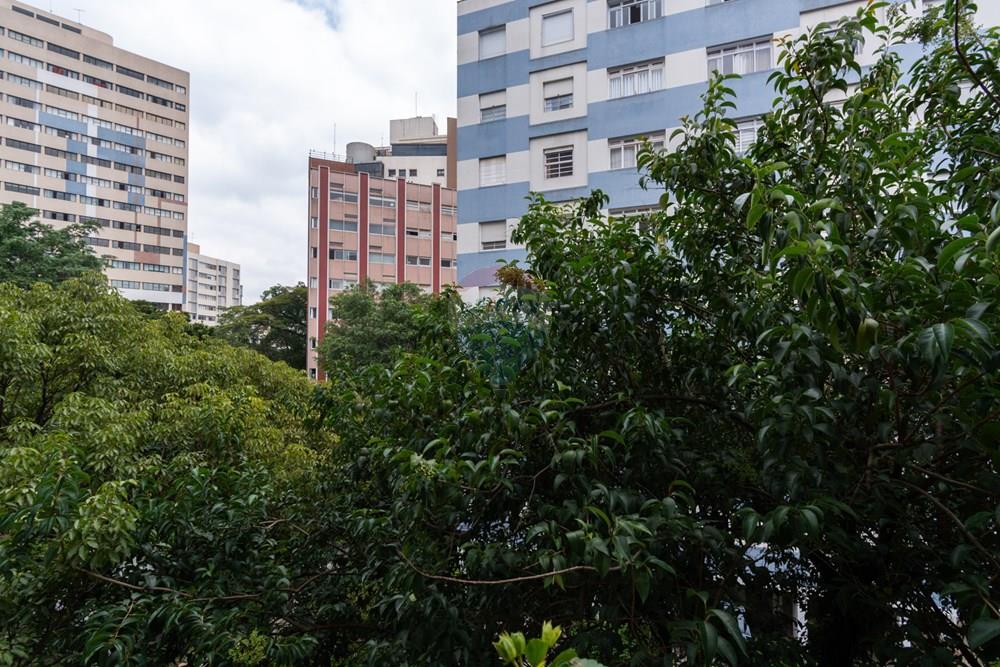 Apartamento - Venda - São Paulo , São Paulo - DSC_0127.jpg - 601241068-23
