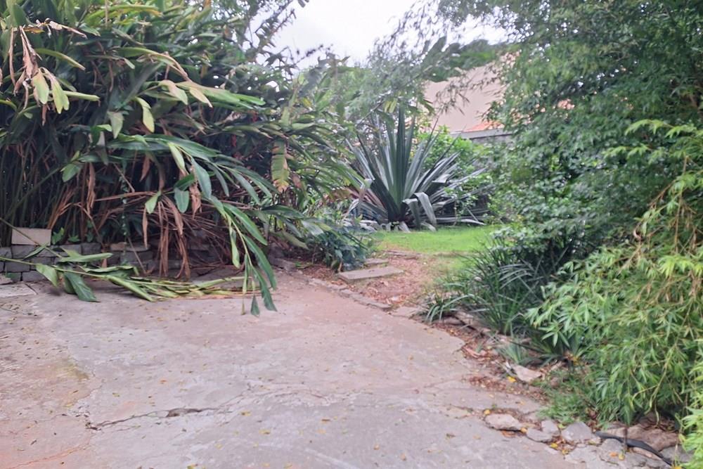 Terreno - Venda - São Paulo , São Paulo - 20260224_180105.jpg - 602271022-177