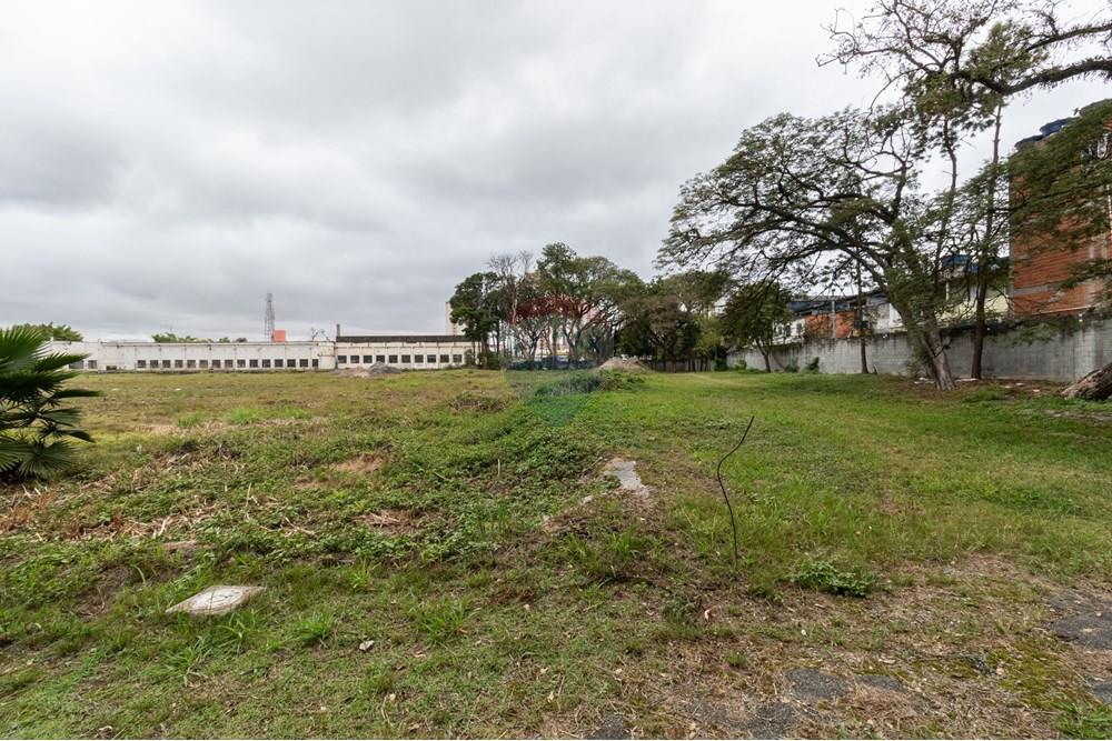 Terreno - Venda - São Paulo , São Paulo - 01fotos_068.jpg - 601251084-263