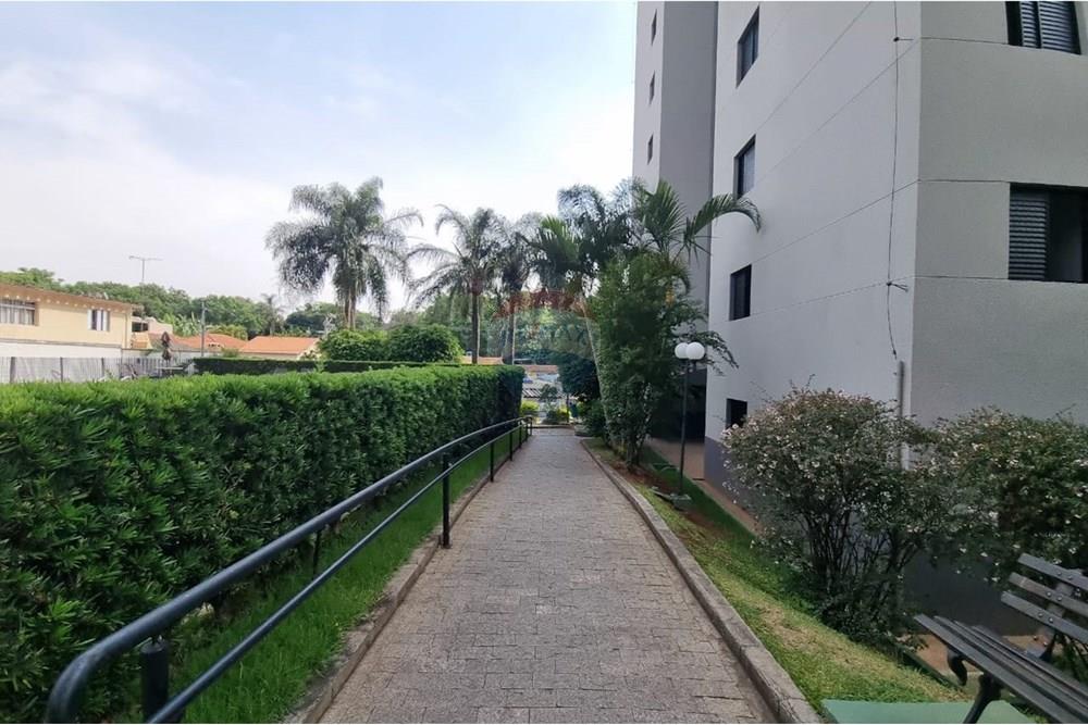 Apartamento - Alugar - São Paulo , São Paulo - Imagem do WhatsApp de 2025-12-01 à(s) 19.00.36_ec7af951.jpg - 601751011-939