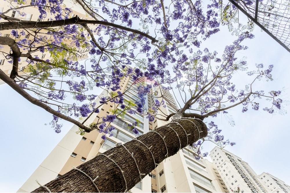Apartamento - Venda - São Paulo , São Paulo - _MG_9569-HDR.jpg - 601751098-75
