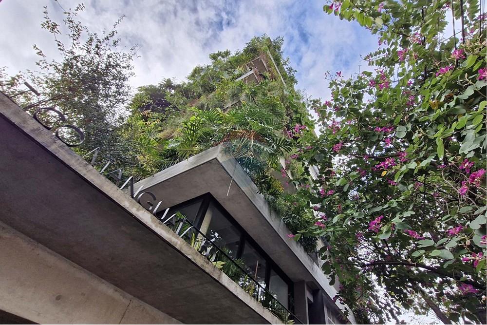 Residential - ਕੌਂਡੋ/ਅਪਾਰਟਮੈਂਟ - São Paulo , São Paulo - BR - RUA MANGUATA, 50 (1).jpg - ਵਰਾਂਡਾ - 601361053-33