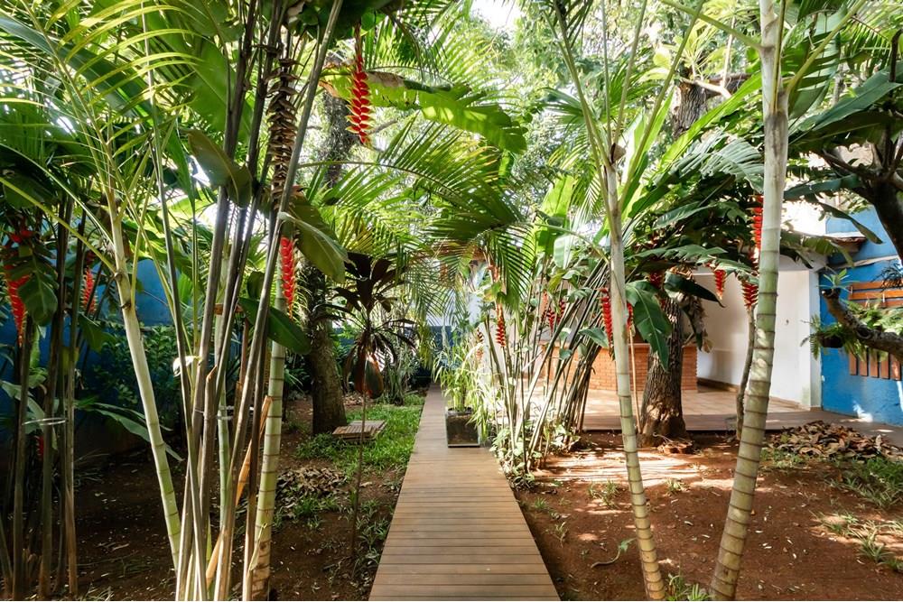 Casa - Venda - São Paulo , São Paulo - IMG_025934.jpg - Jardim Externo - 602241008-40