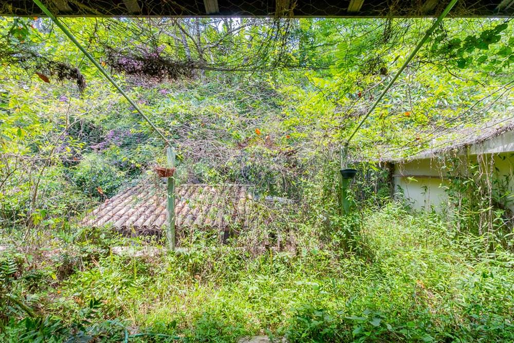 Casa de Condomínio - Venda - Granja Viana , São Paulo - 44.jpg - Jardim Interno - 601081107-6