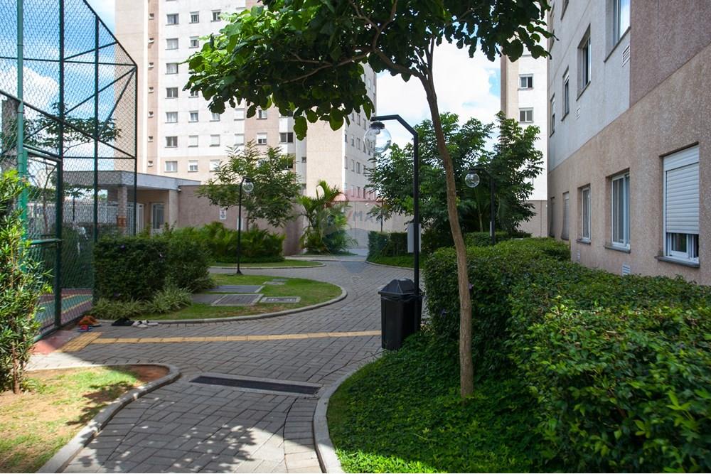 Apartamento - Venda - São Paulo , São Paulo - IMG_6394.jpg - 601751081-31