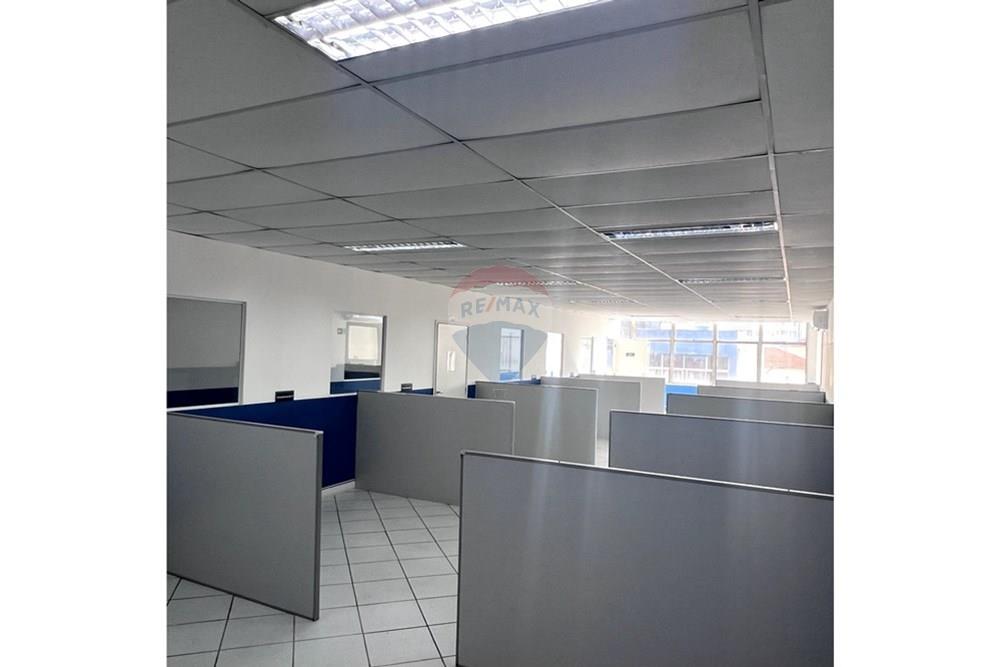 Prédio - Alugar - São Paulo , São Paulo - Cópia de IMG_3351.jpg - 601261095-6