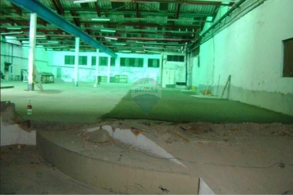 Galpão - Alugar - São Paulo , São Paulo - 8.jpg - 602291021-292