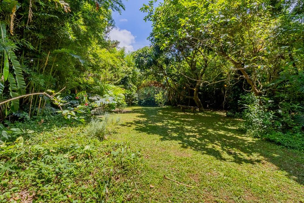 Casa de Condomínio - Venda - Granja Viana , São Paulo - 51.jpg - Jardim Externo - 601081107-6