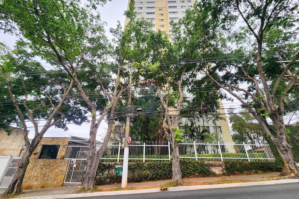 Apartamento - Venda - São Paulo , São Paulo - v11.jpg - 602291034-37