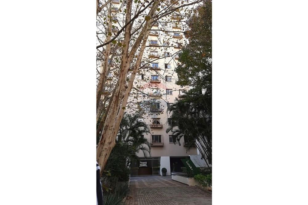 Apartamento - Alugar - São Paulo , São Paulo - WhatsApp Image 2026-03-19 at 16.45.42 (3).jpeg - 601461002-82