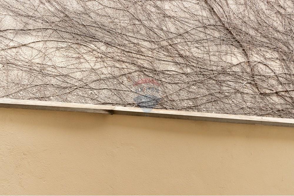 Casa - Venda - São Paulo , São Paulo - 21-CS.jpg - 601471041-52