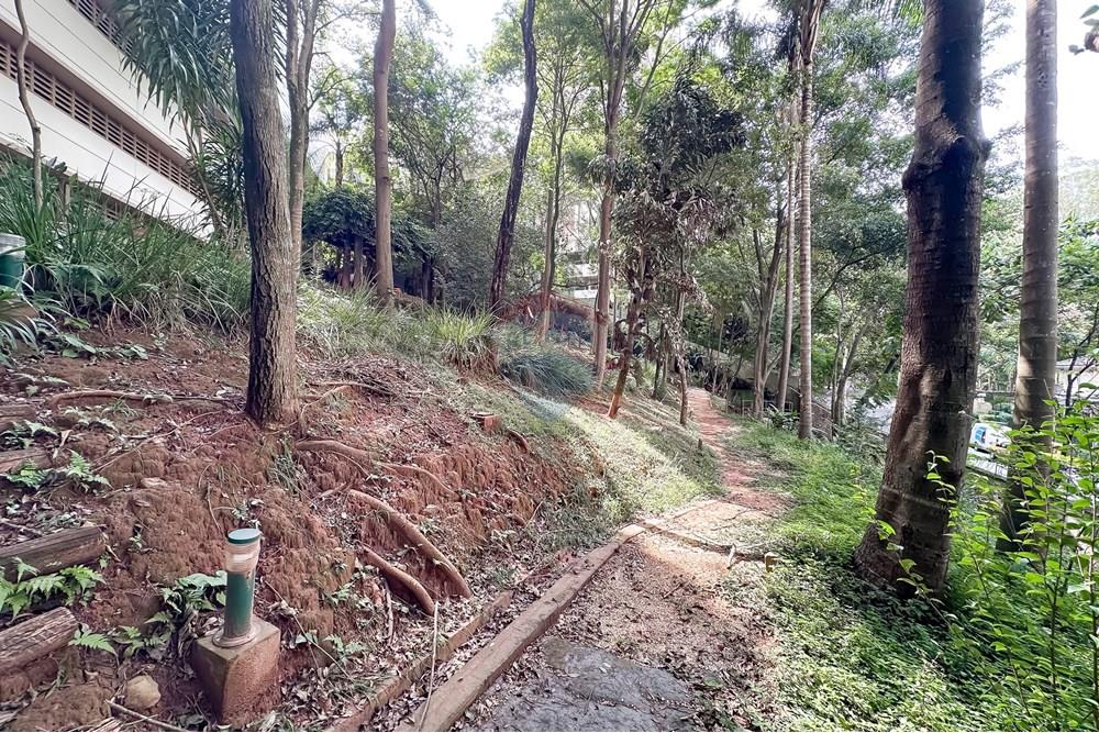 Apartamento - Venda - São Paulo , São Paulo - IMG_699532.jpg - 601721006-77