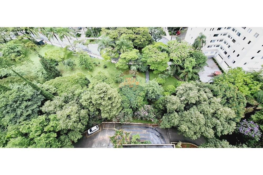 Apartamento - Venda - São Paulo , São Paulo - WhatsApp Image 2026-02-02 at 12.44.52.jpeg - 601971007-170