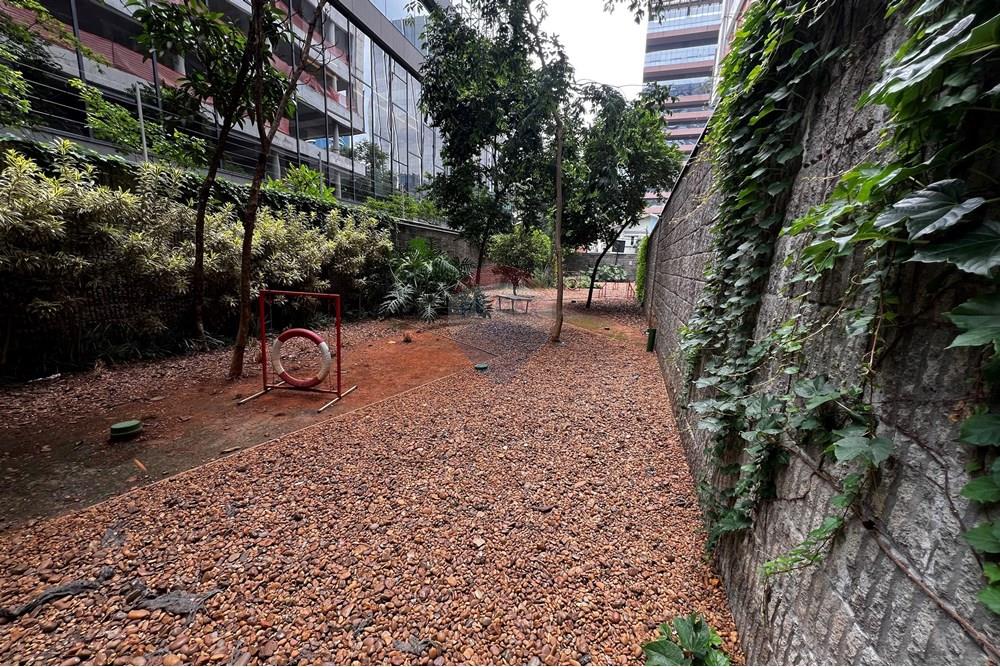 Apartamento - Alugar - São Paulo , São Paulo - IMG_8414.jpeg - 602241012-51