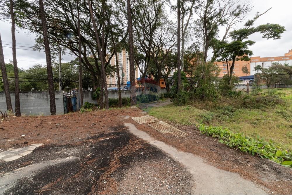 Terreno - Venda - São Paulo , São Paulo - 01fotos_051.jpg - 601251084-263