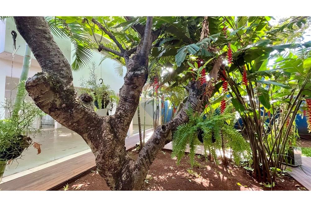 Casa - Venda - São Paulo , São Paulo - IMG_6405.JPEG - Jardim Externo - 602241008-40