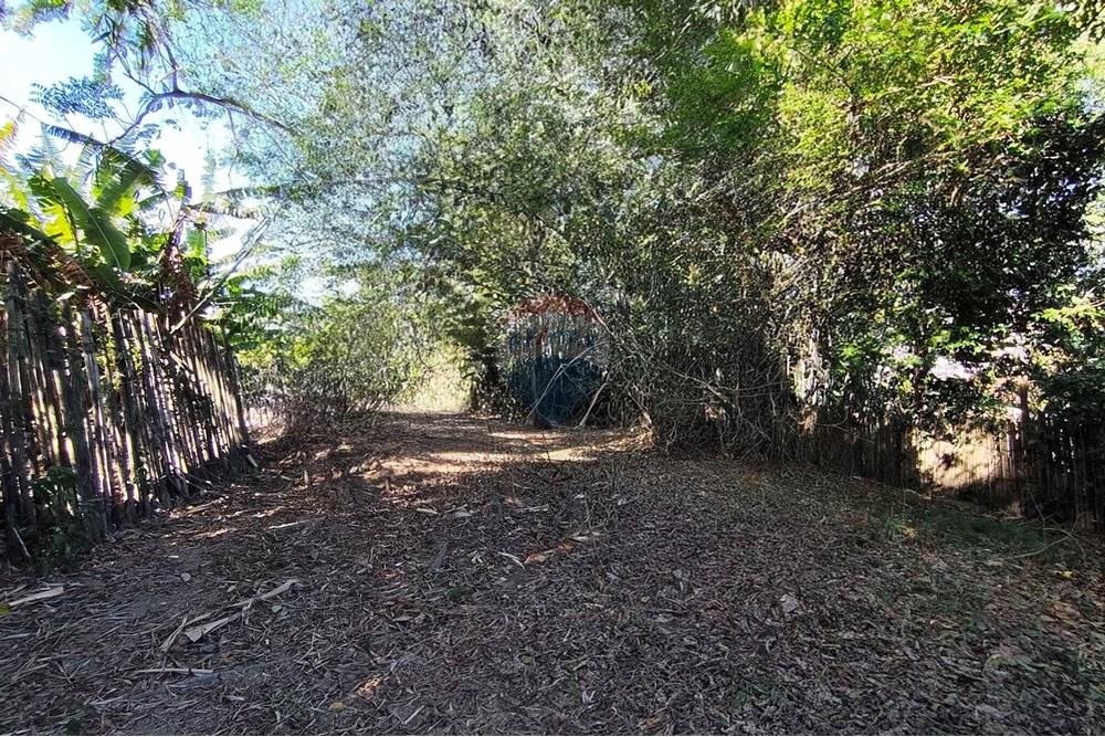 Terreno - Venda - Ferraz de Vasconcelos , São Paulo - IMG_20250918_145935.jpg - 601451005-109