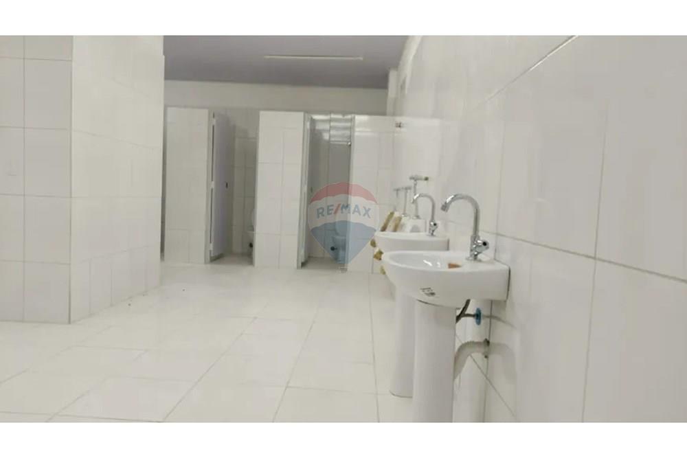 Galpão - Alugar - São Paulo , São Paulo - 14.jpeg - 602291016-151