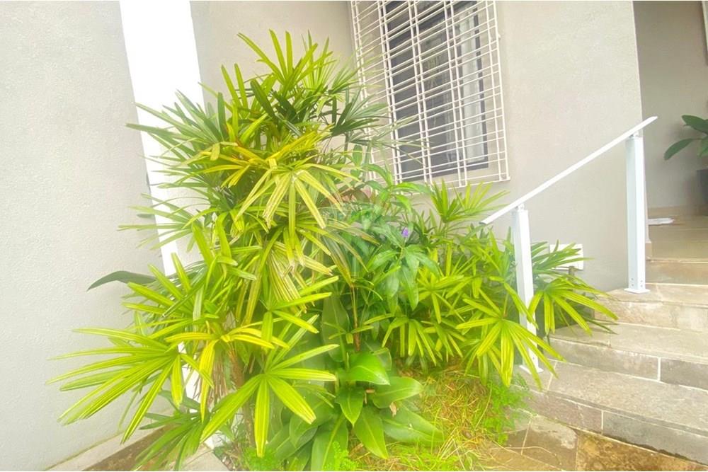 Casa Comercial - Alugar - São Paulo , São Paulo - 3f6c7618-f907-4c17-9452-de8076503dc1.jpg - 602071003-37