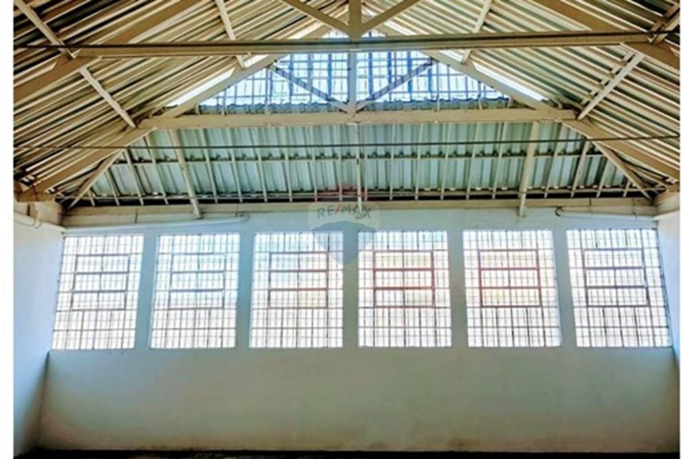 Turunduslik - Laohoone - Sao Paulo , Sao Paulo - BR - 4.jpg - 602291021-233