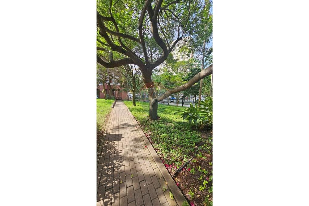 Apartamento - Alugar - São Paulo , São Paulo - 20251012_150834.jpg - 601361021-1762