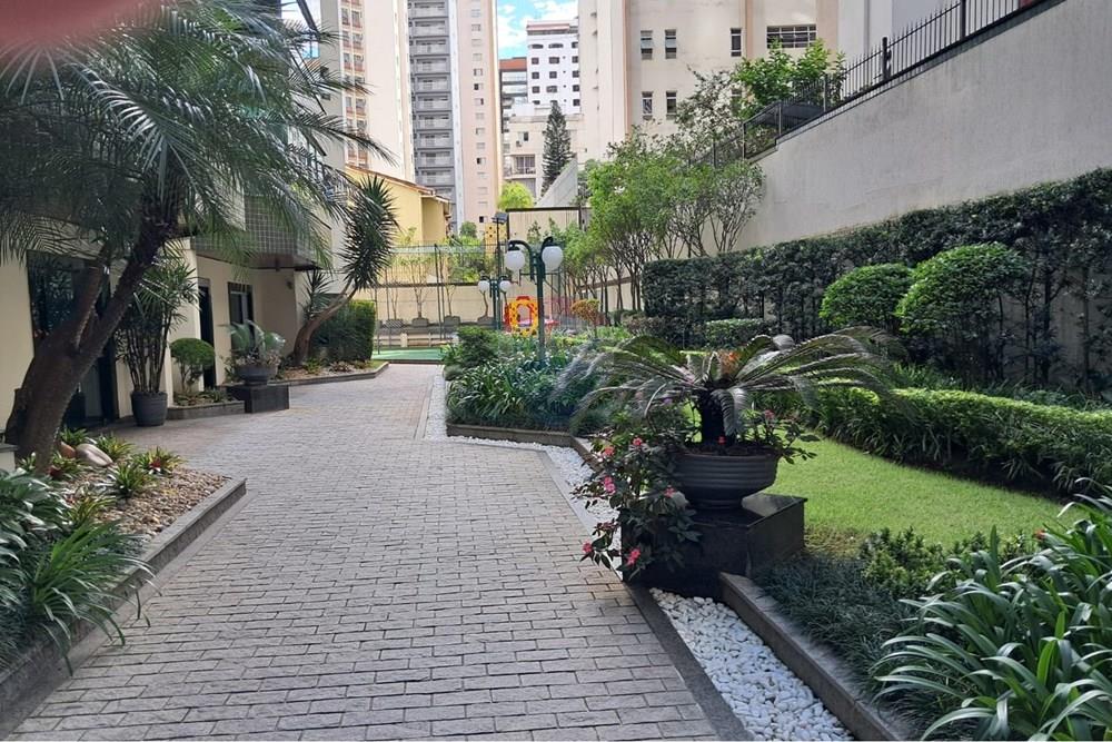 Apartamento - Alugar - São Paulo , São Paulo - IMG-20260402-WA0002.jpg - 602151025-23