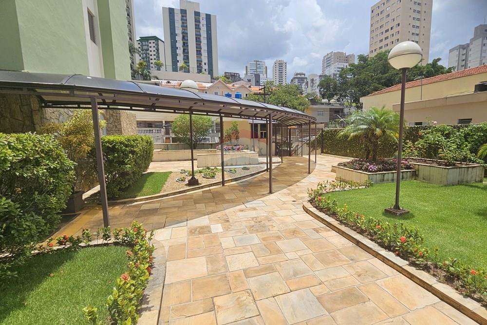 Apartamento - Alugar - São Paulo , São Paulo - 20260115_121646.jpg - 602031038-4