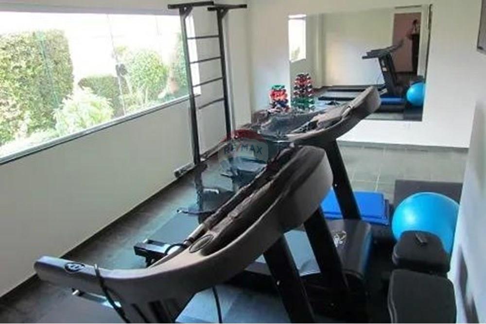 Apartamento - Alugar - São Paulo , São Paulo - academia1.jpg - 602101043-23