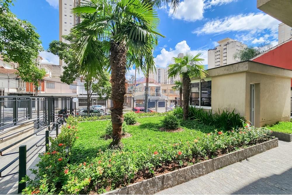 Apartamento - Alugar - São Paulo , São Paulo - 20250402_12410931.jpg - 602031002-128