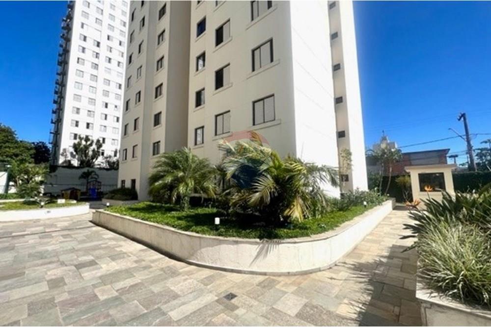 Apartamento - Alugar - São Paulo , São Paulo - IMG-20251117-WA0082.jpg - 602161002-69