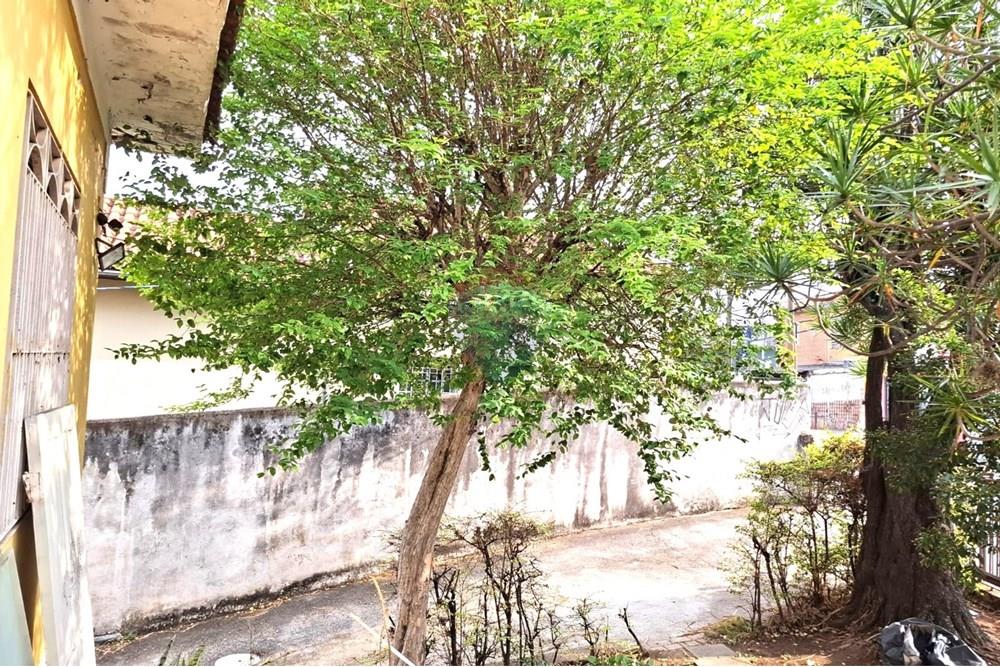 Terreno - Venda - São Paulo , São Paulo - 9.jpg - 602291016-216