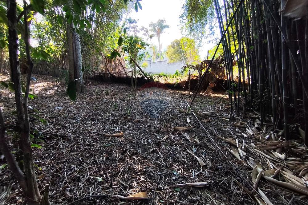 Terreno - Venda - Ferraz de Vasconcelos , São Paulo - IMG_20250918_150031.jpg - 601451005-109