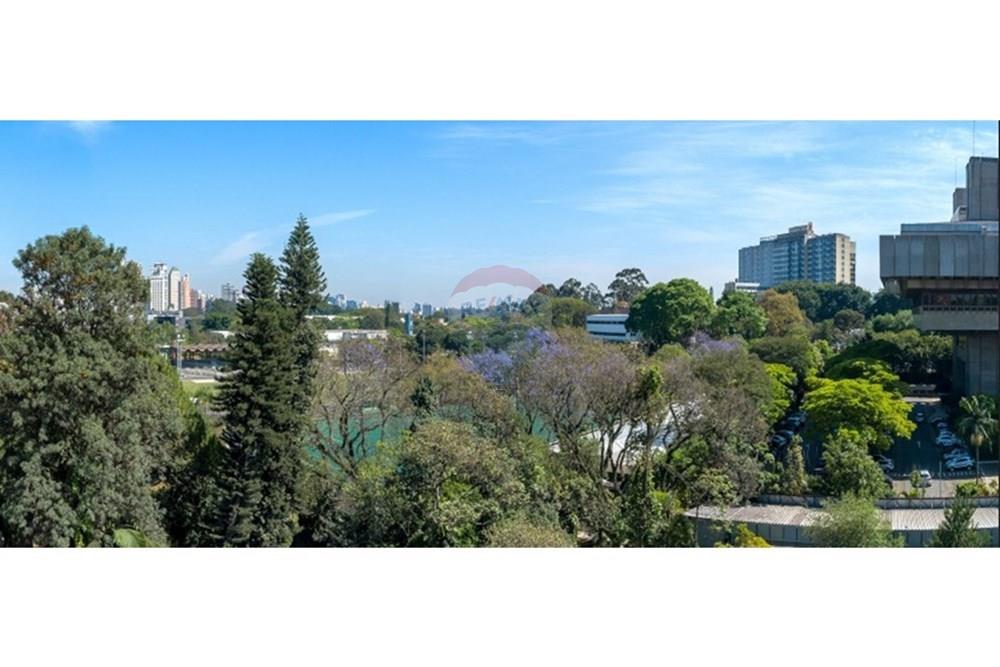 Apartamento - Venda - São Paulo , São Paulo - WhatsApp Image 2026-03-11 at 12.10.09 (17).jpeg - 601971015-684