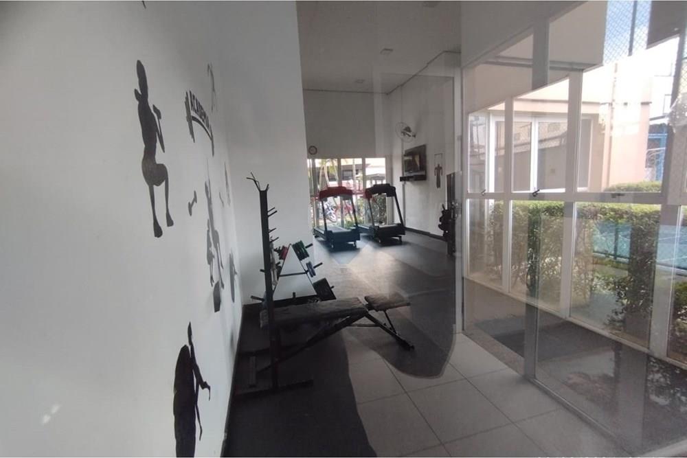 Apartamento - Alugar - São Paulo , São Paulo - WhatsApp Image 2026-02-25 at 10.52.13.jpeg - 601451035-12