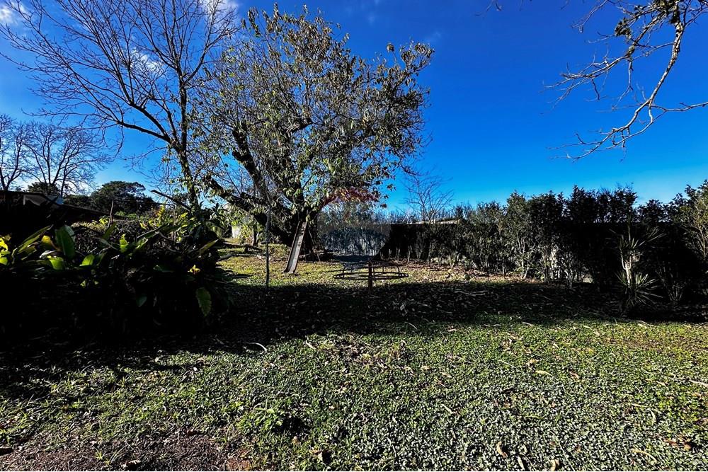 Terreno - Venda - Cotia , São Paulo - IMG_9044.jpg - 602331010-41