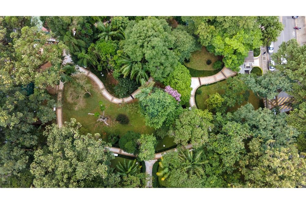 Apartamento - Venda - São Paulo , São Paulo - 59-DJI_0977.jpg - 601241007-55